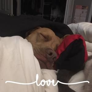 Meet your Posher, Kendra